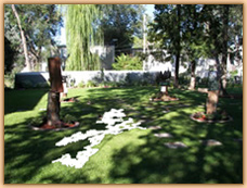 The Speak Project - Minnesota Charity Construction