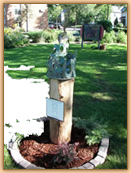 The Speak Project - MN Charity Construction