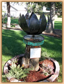 The Speak Project - MN Charity Construction